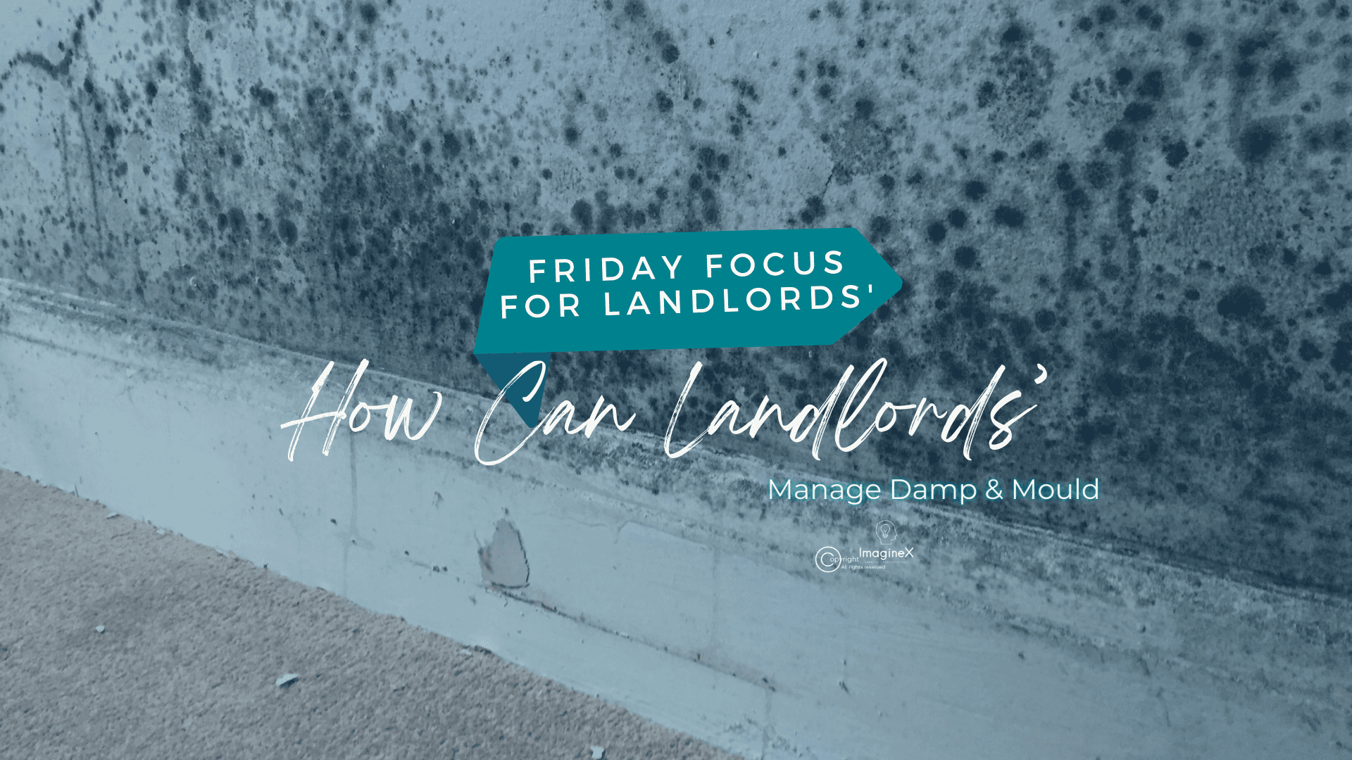 HOW CAN LANDLORDS MANAGE DAMP AND MOULD?