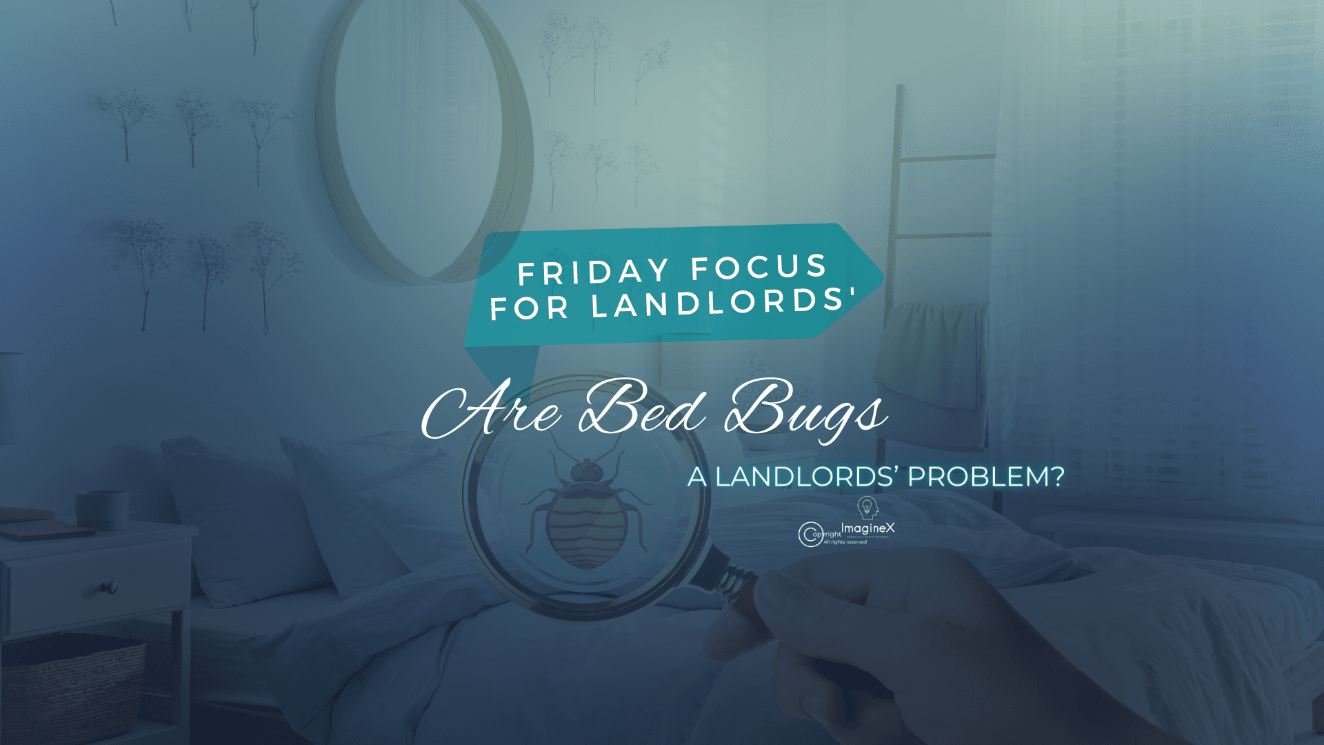 Are Bed Bugs a Landlord Problem?