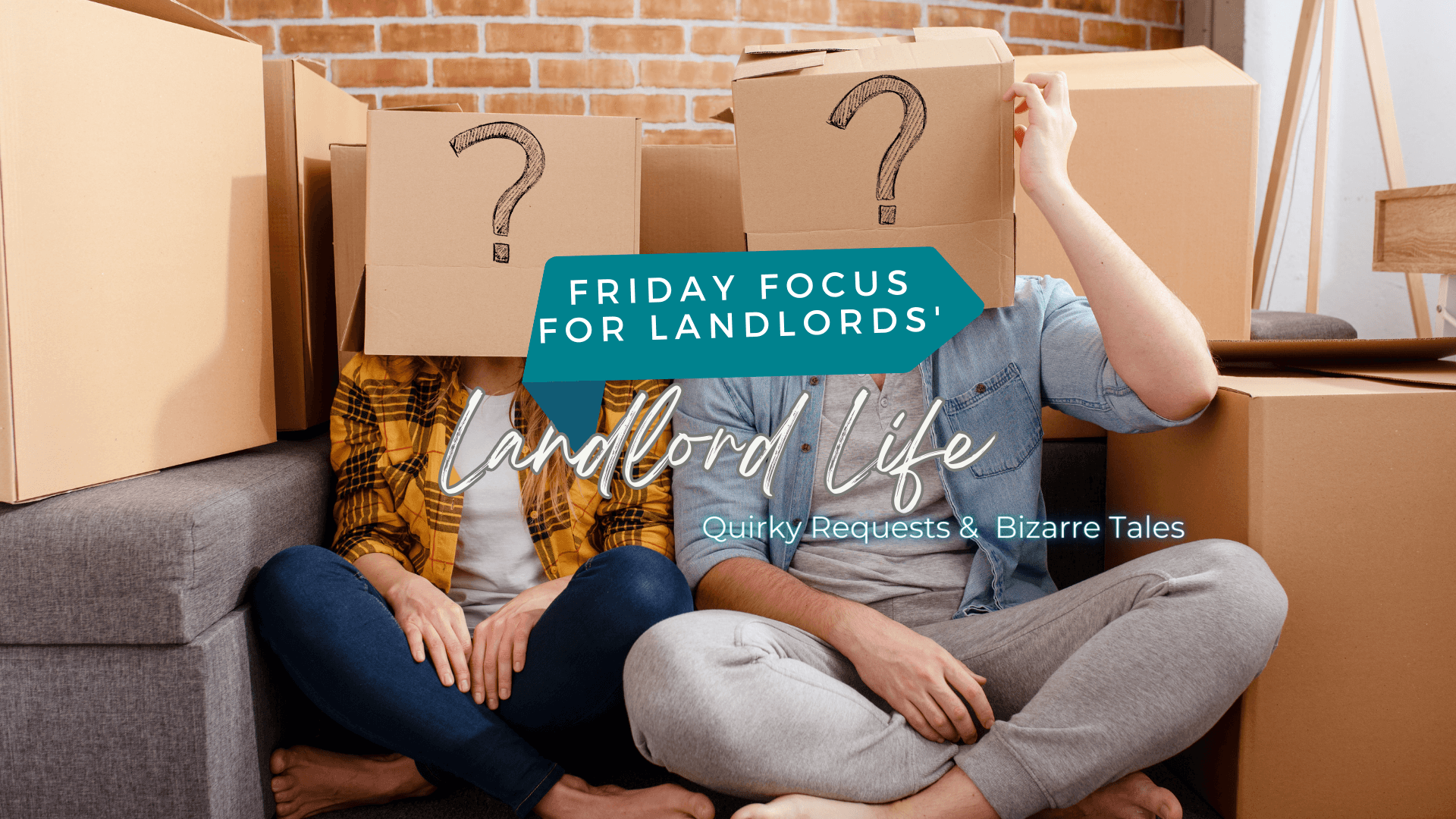 Landlord Life: The Chronicles of Quirky Requests and Bizarre Tales